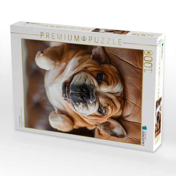 Produktbild: CALVENDO Puzzle Oh - verkehrte Welt | 1000 Teile Lege-Gr&ouml;&szlig;e 64x48cm Foto-Puzzle f&uuml;r gl&uuml;ckliche Stunden