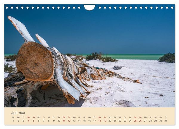 Produktbild: OMAN - Orientperle (Wandkalender 2026 DIN A4 quer), CALVENDO Monatskalender
