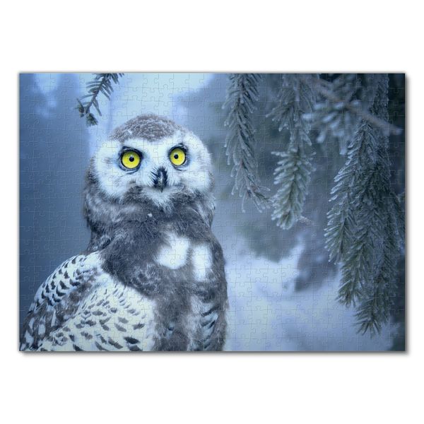 Produktbild: Lais Puzzle Eule im Schnee 500 Teile