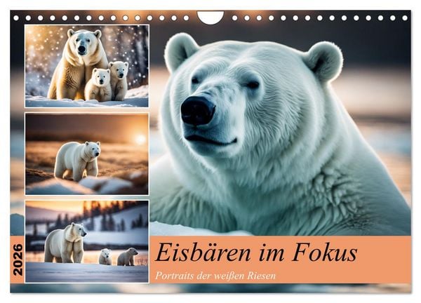 Produktbild: Eisb&auml;ren im Fokus (Wandkalender 2026 DIN A4 quer), CALVENDO Monatskalender
