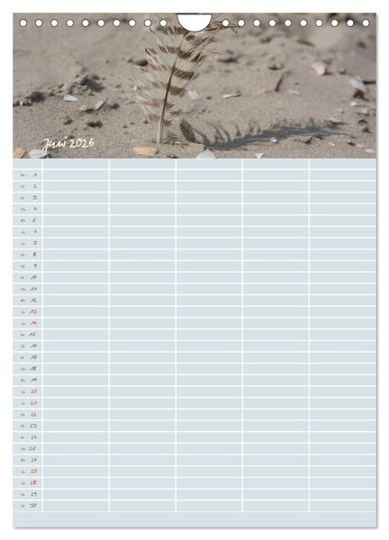 Produktbild: Kleine Sand-Sch&ouml;nheiten / Familienplaner (Wandkalender 2026 DIN A4 hoch), CALVENDO Monatskalender