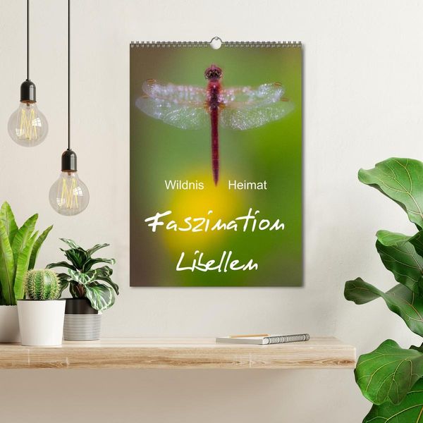 Produktbild: Faszination Libellen - Wildnis Heimat (Wandkalender 2026 DIN A3 hoch), CALVENDO Monatskalender
