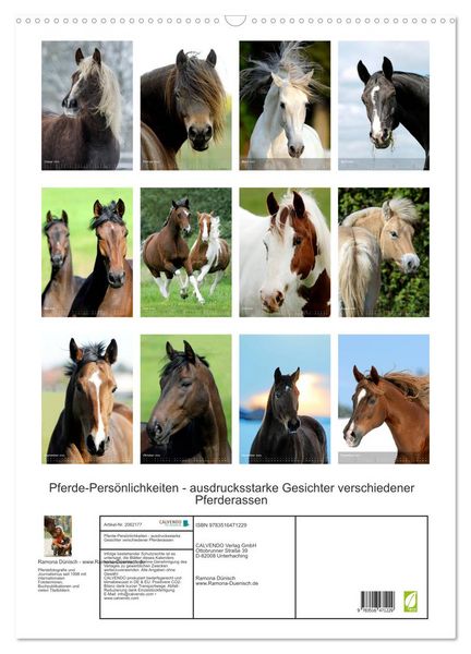 Produktbild: Pferde-Pers&ouml;nlichkeiten - ausdrucksstarke Gesichter verschiedener Pferderassen (Wandkalender 2026 DIN A2 hoch), CALVENDO Monatskalender