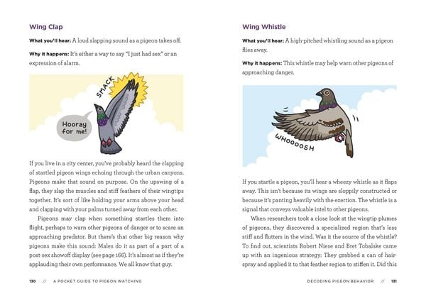 Produktbild: A Pocket Guide to Pigeon Watching