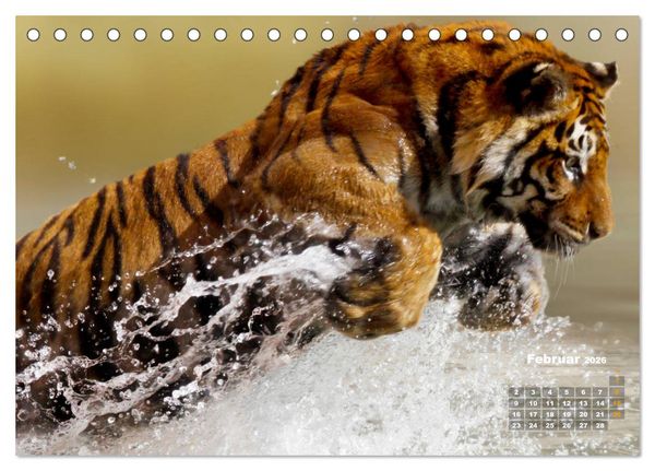 Produktbild: WILDE TIERE IN AKTION (Tischkalender 2026 DIN A5 quer), CALVENDO Monatskalender