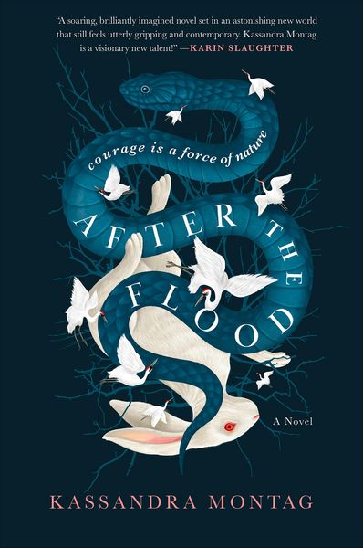 Produktbild: After the Flood