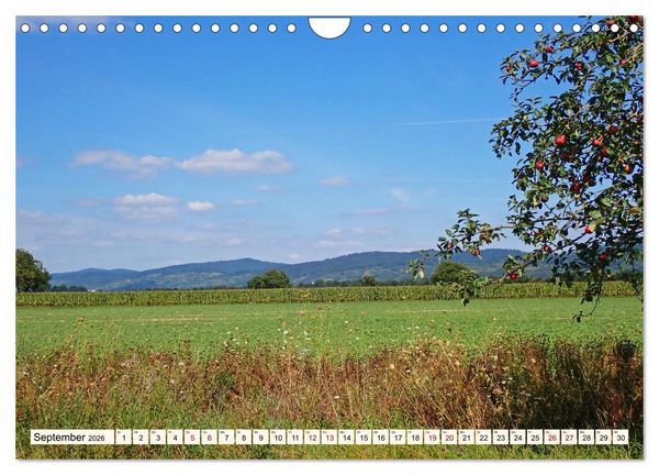 Produktbild: Vom Ried an die Bergstra&szlig;e, durch den Odenwald ins Neckartal (Wandkalender 2026 DIN A4 quer), CALVENDO Monatskalender