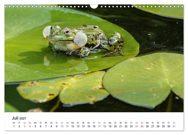 Produktbild: Paradies Naturgarten (Wandkalender 2027 DIN A3 quer), CALVENDO Monatskalender