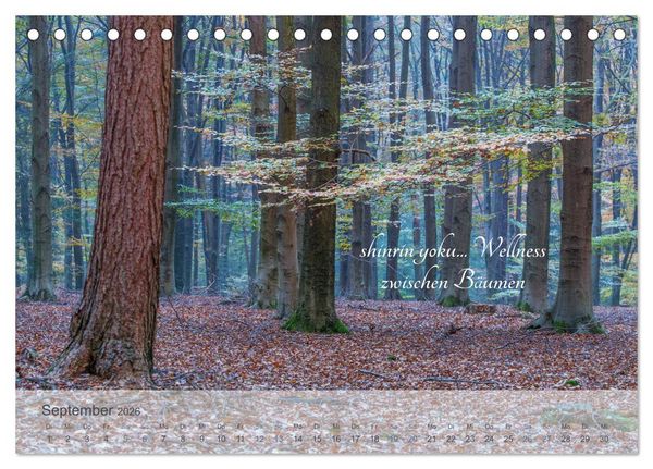 Produktbild: Shinrin yoku - Waldbaden 2026 (Tischkalender 2026 DIN A5 quer), CALVENDO Monatskalender