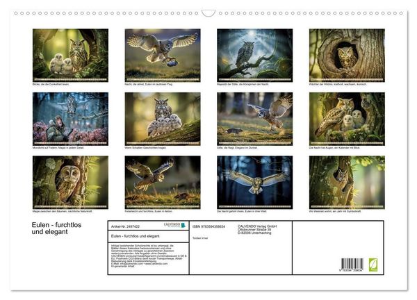 Produktbild: Eulen - furchtlos und elegant (Wandkalender 2027 DIN A2 quer), CALVENDO Monatskalender