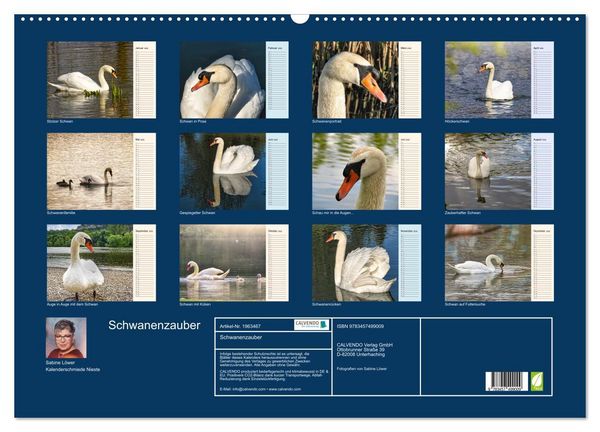 Produktbild: Schwanenzauber (Wandkalender 2026 DIN A2 quer), CALVENDO Monatskalender