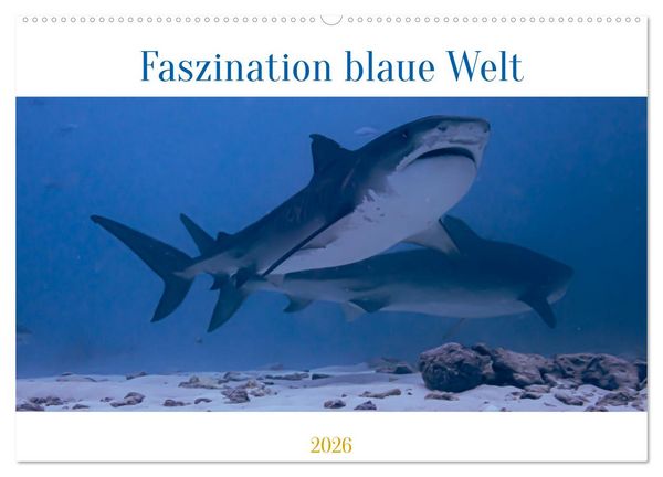 Faszination blaue Welt (Wandkalender 2026 DIN A2 quer), CALVENDO Monatskalender