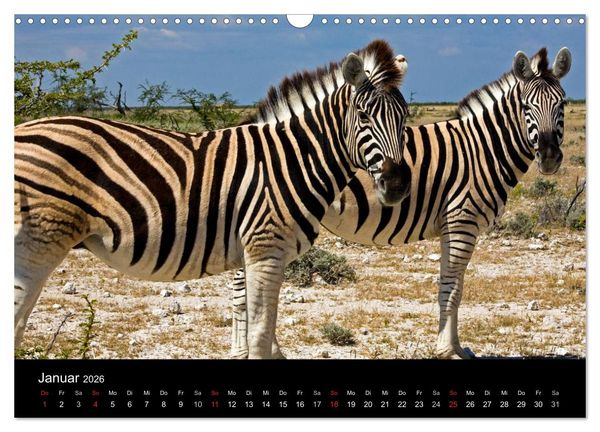 Produktbild: Namibia - Sch&ouml;ne Ansichten (Wandkalender 2026 DIN A3 quer), CALVENDO Monatskalender