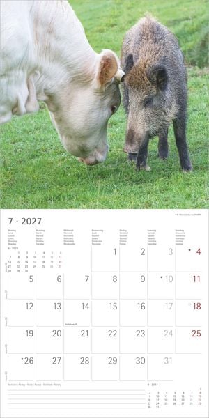 Produktbild: Tierfreundschaften 2027