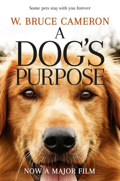 Produktbild: A Dog's Purpose