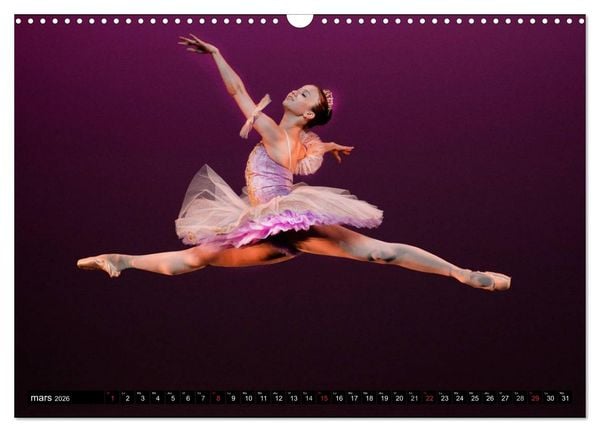 Produktbild: Vaganova, ballet imp&eacute;rial (Calendrier mural 2026 DIN A3 vertical), CALVENDO calendrier mensuel