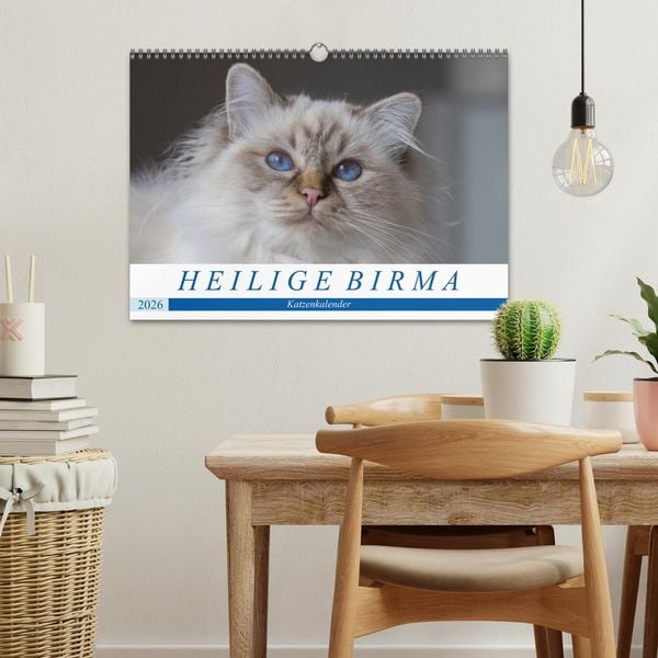 Produktbild: Heilige Birma Katzenkalender (Wandkalender 2026 DIN A3 quer), CALVENDO Monatskalender