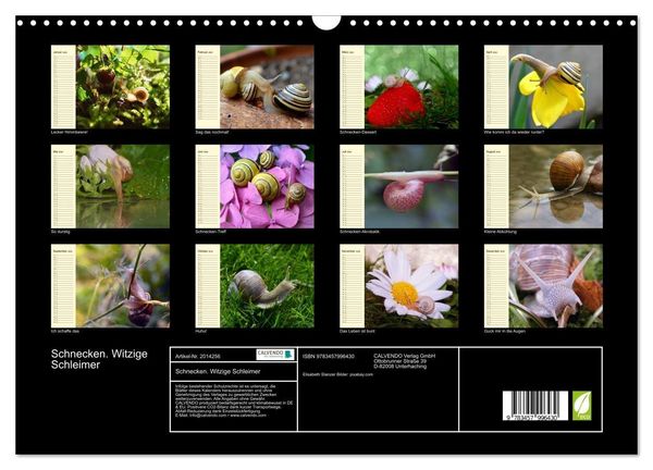 Produktbild: Schnecken. Witzige Schleimer (Wandkalender 2026 DIN A3 quer), CALVENDO Monatskalender