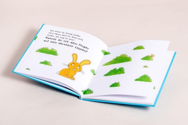 Produktbild: Schaukel das Schaf - Ein Mitmachbuch zum Sch&uuml;tteln, Schaukeln, Pusten, Klopfen und sehen, was dann passiert. Von 2 bis 4 Jahren