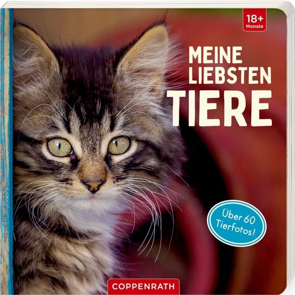 Produktbild: Meine liebsten Tiere