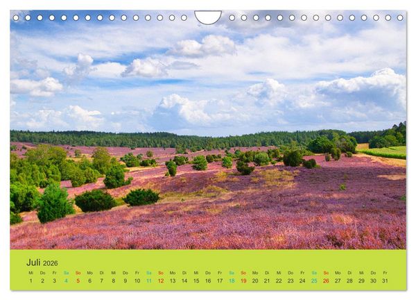 Produktbild: Die Heide bl&uuml;ht (Wandkalender 2026 DIN A4 quer), CALVENDO Monatskalender