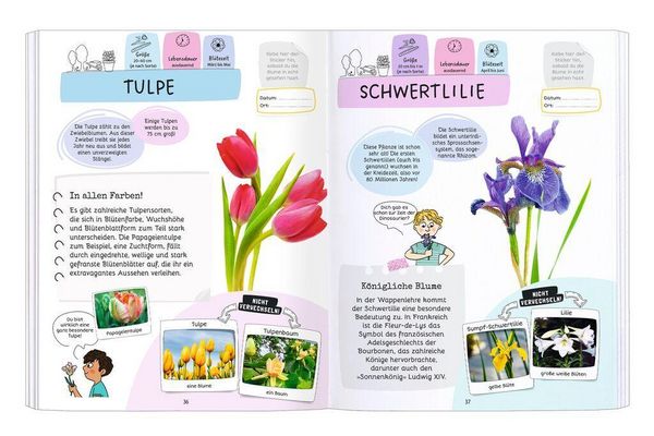 Produktbild: R&auml;tseln, Stickern, Bestimmen - Blumen