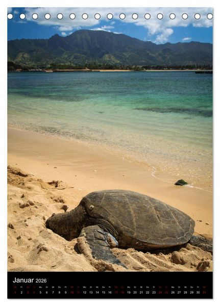 Produktbild: Hawaii - Inseltraum im Pazifik (Tischkalender 2026 DIN A5 hoch), CALVENDO Monatskalender