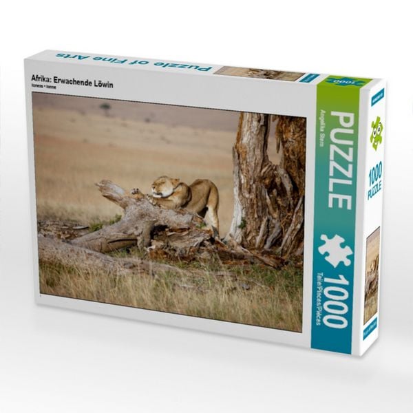 CALVENDO Puzzle Afrika: Erwachende Löwin | 1000 Teile Lege-Größe 64x48cm Foto-Puzzle für glückliche Stunden