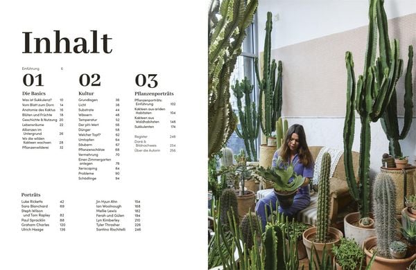 Produktbild: Kakteen und Sukkulenten