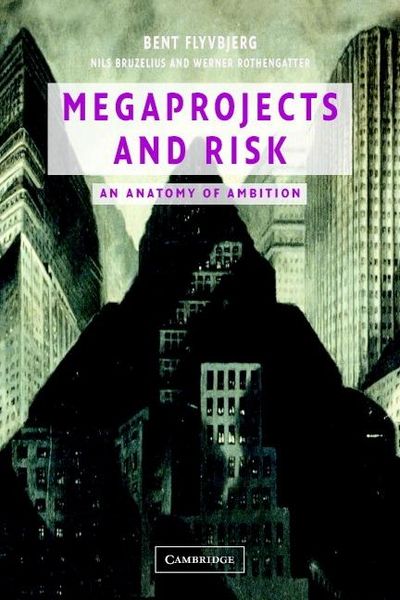 Produktbild: Megaprojects and Risk