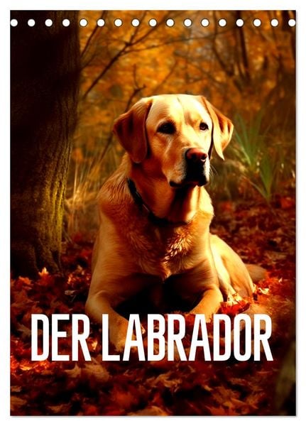 Produktbild: Der Labrador (Tischkalender 2026 DIN A5 hoch), CALVENDO Monatskalender