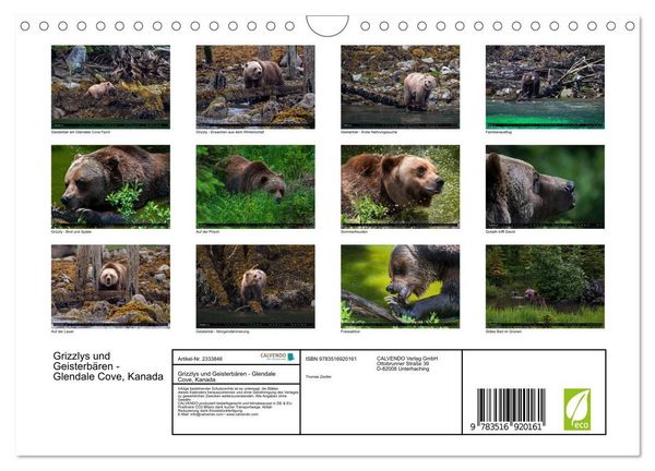 Produktbild: Grizzlys und Geisterb&auml;ren - Glendale Cove, Kanada (Wandkalender 2027 DIN A4 quer), CALVENDO Monatskalender