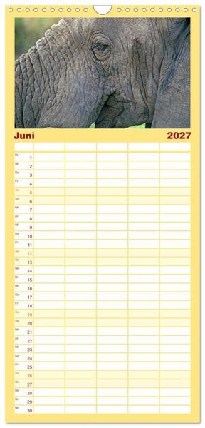 Produktbild: Familienplaner 2027 - Elefanten in der Serengeti mit 5 Spalten (Wandkalender, 21 x 45 cm) CALVENDO