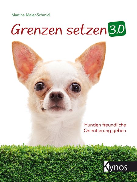 Produktbild: Grenzen setzen 3.0