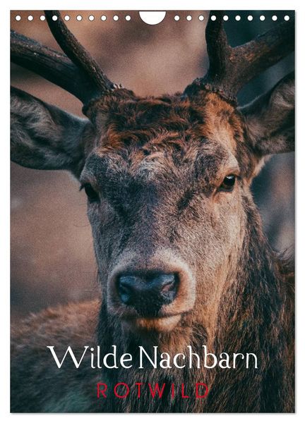 Produktbild: Wilde Nachbarn: Rotwild (Wandkalender 2026 DIN A4 hoch), CALVENDO Monatskalender