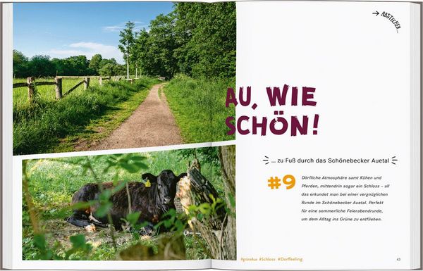 Produktbild: 52 kleine & gro&szlig;e Eskapaden in und um Bremen