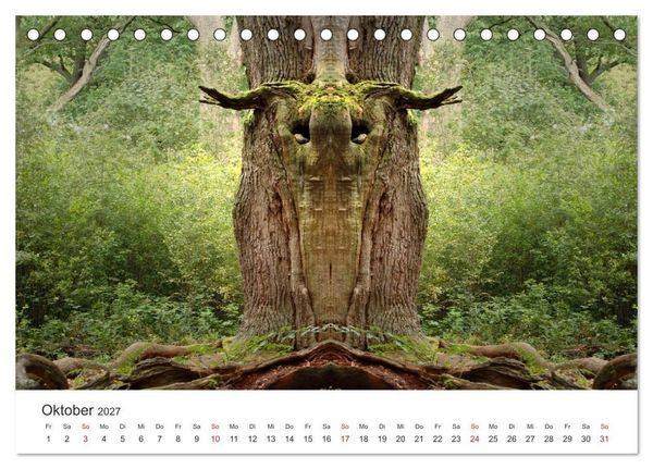 Produktbild: Spiegelwelten - Natur anders sehen (Tischkalender 2027 DIN A5 quer), CALVENDO Monatskalender
