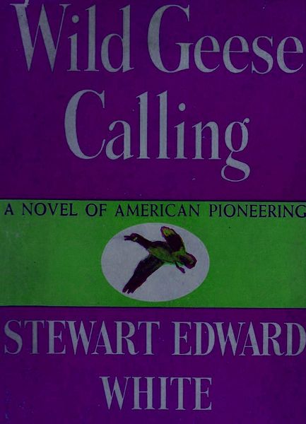Produktbild: Wild Geese Calling