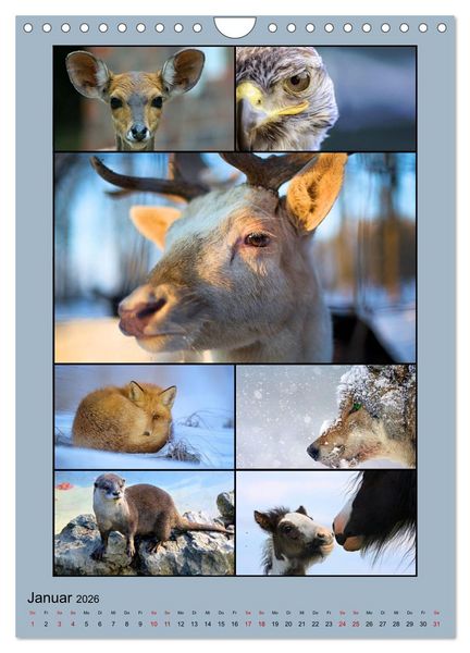 Produktbild: Farbsymphonien der Natur (Wandkalender 2026 DIN A4 hoch), CALVENDO Monatskalender