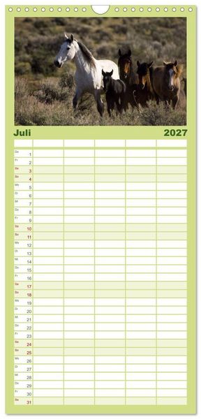 Produktbild: Familienplaner 2027 - Wilde Pferde &bull; Mustangs in USA mit 5 Spalten (Wandkalender, 21 x 45 cm) CALVENDO