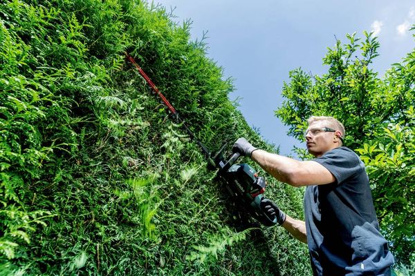 Produktbild: Metabo HS 18 LTX BL 55 Akku Heckenschere ohne Akku, ohne Ladeger&auml;t 1080mm