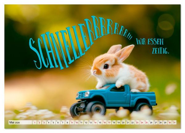 Produktbild: KANINCHEN Mit Humor durchs Jahr (Tischkalender 2026 DIN A5 quer), CALVENDO Monatskalender