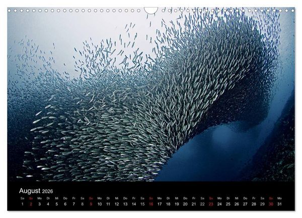 Produktbild: Philippinen - Natur und Fiesta (Wandkalender 2026 DIN A3 quer), CALVENDO Monatskalender