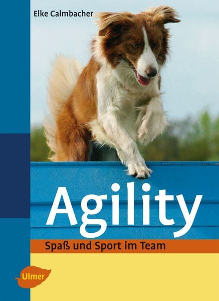 Produktbild: Agility