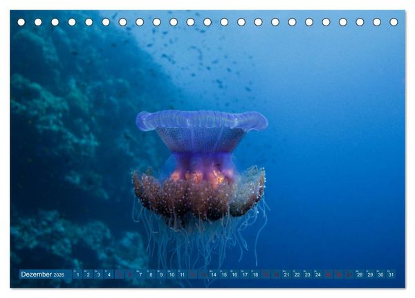 Produktbild: Farbenfrohes Meer (Tischkalender 2026 DIN A5 quer), CALVENDO Monatskalender