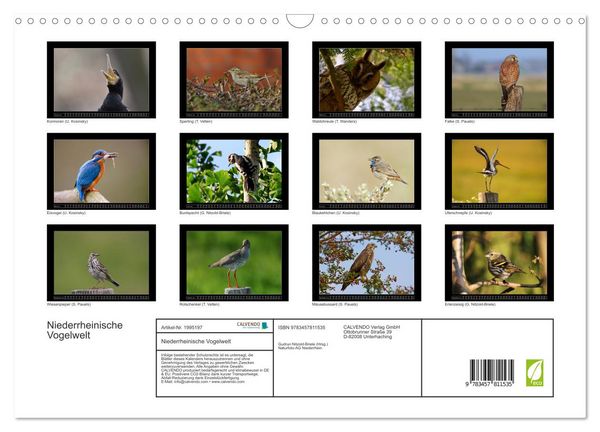 Produktbild: Niederrheinische Vogelwelt (Wandkalender 2026 DIN A3 quer), CALVENDO Monatskalender