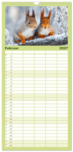 Produktbild: Familienplaner 2027 - Waldgefl&uuml;ster mit 5 Spalten (Wandkalender, 21 x 45 cm) CALVENDO