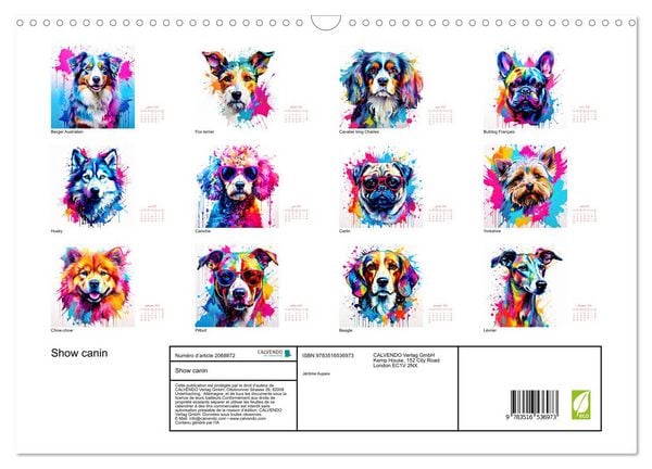Produktbild: Show canin (Calendrier mural 2026 DIN A3 vertical), CALVENDO calendrier mensuel