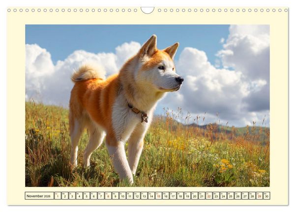Produktbild: Akita Inu in der Natur. Japans edle und sanfte Sch&ouml;nheit (Wandkalender 2026 DIN A3 quer), CALVENDO Monatskalender