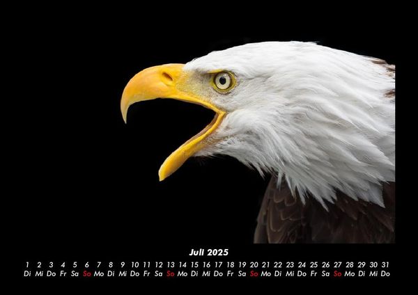 Produktbild: Adler 2025 Fotokalender DIN A3